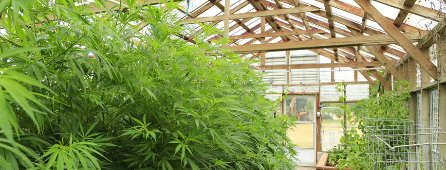 Security Solutions for Apartments in Prairieville, LA